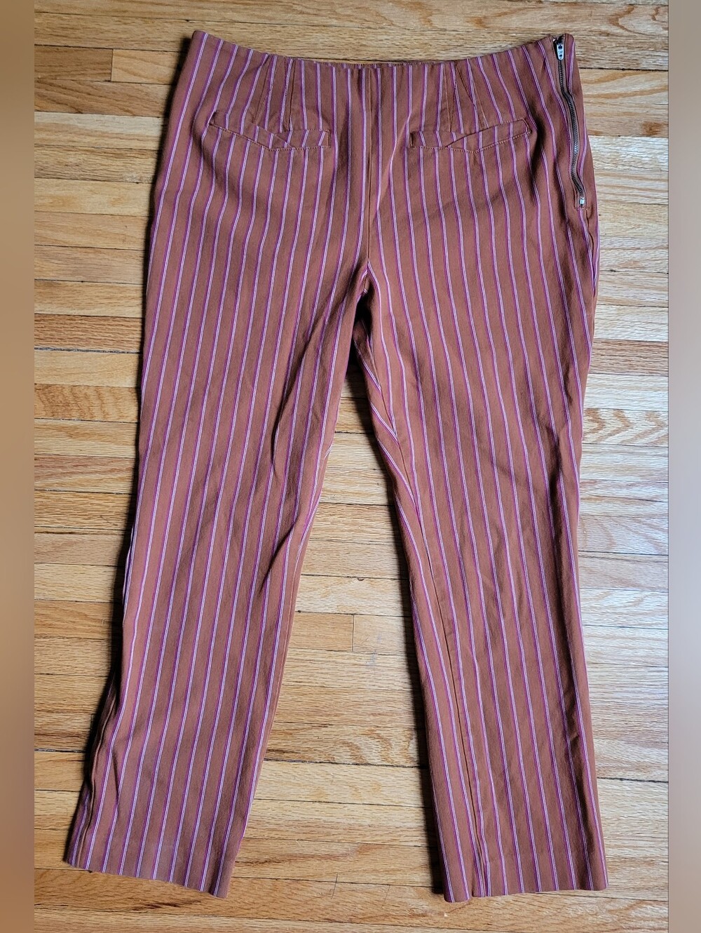 Anthropologie Essential Slim Crop Pinstripe Pants Rust Burgundy Stripe Size 12